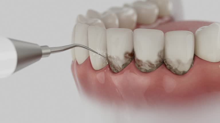 Reliable Dental contractor in St. Regis Park, KY by Dentist Open Now